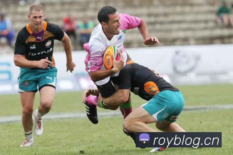 leyu乐鱼官方在线登录APP 封面图